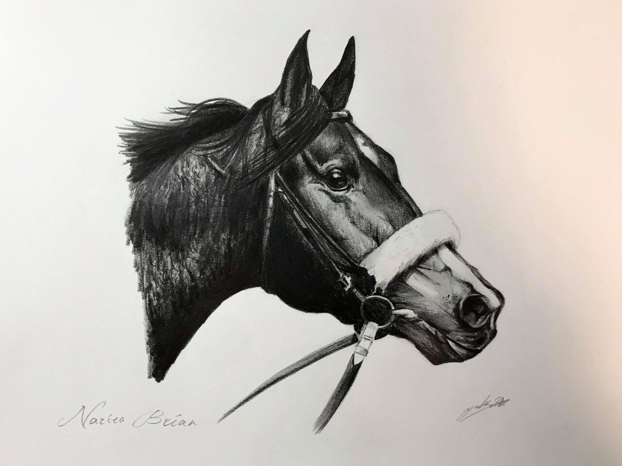 インタビュー】自己表現に「馬」を選んだ画家が歩んだ道とは｜you