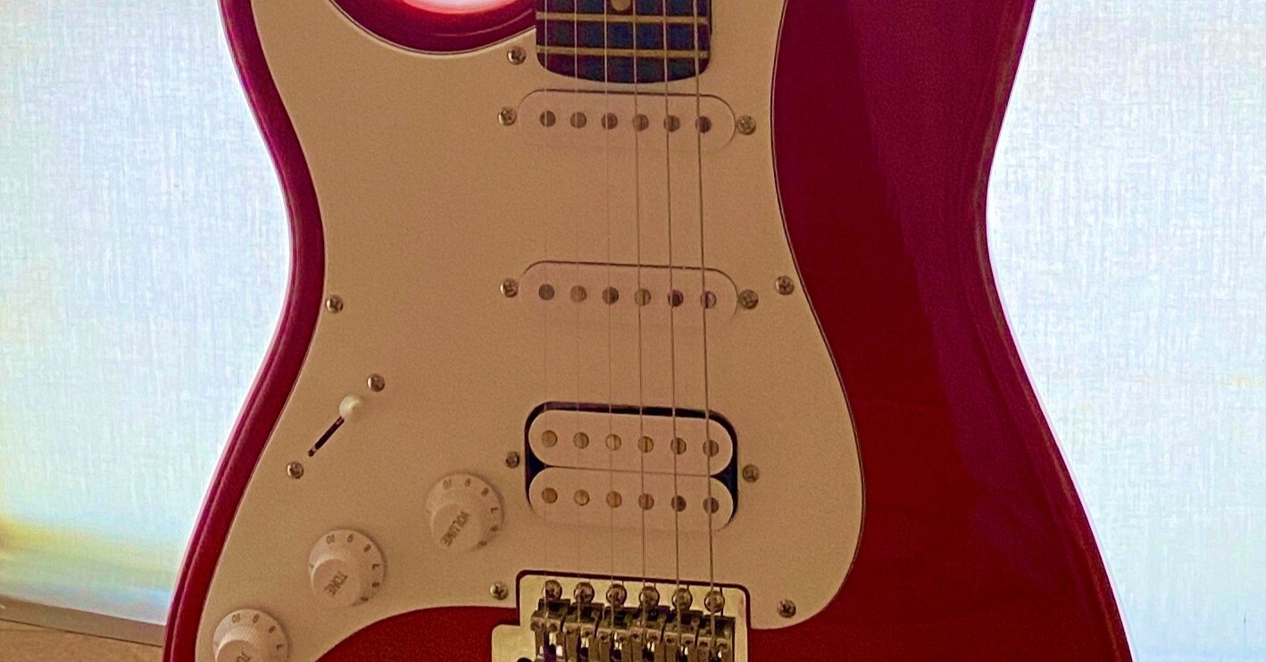 Vol.1: 初心者向けフェルナンデスギターを買ったのさ。｜斉藤康仁