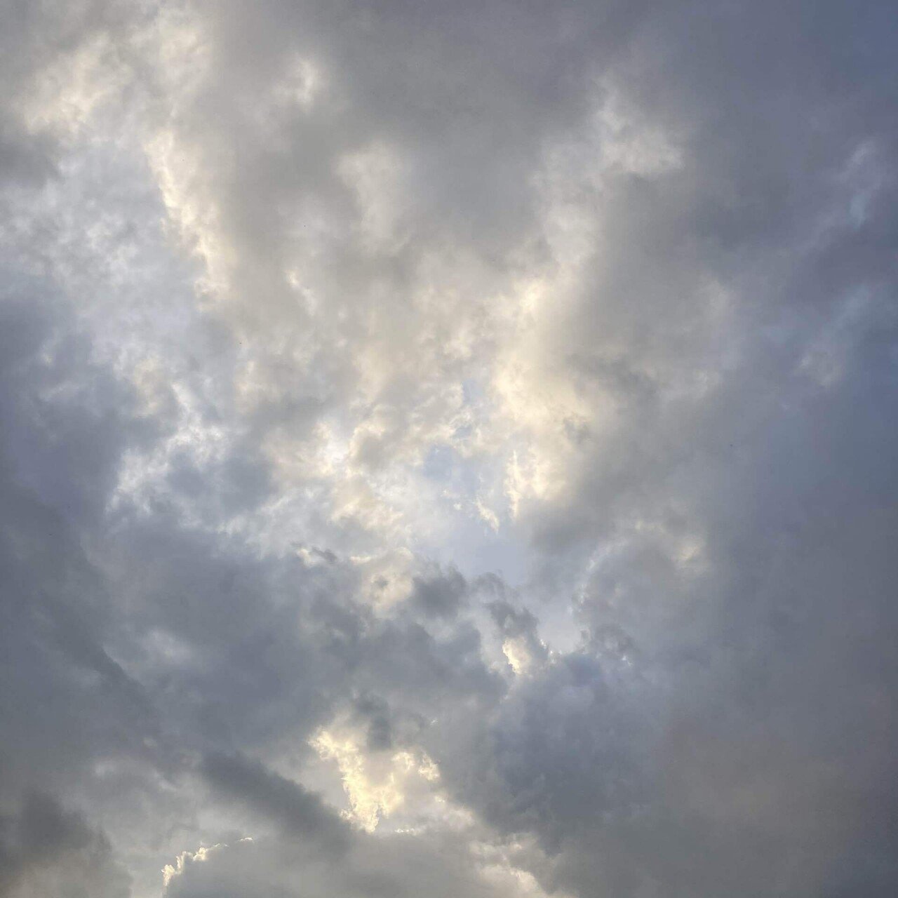 梅雨空続き 新パパ Note 梅雨空続き 新パパ Note
