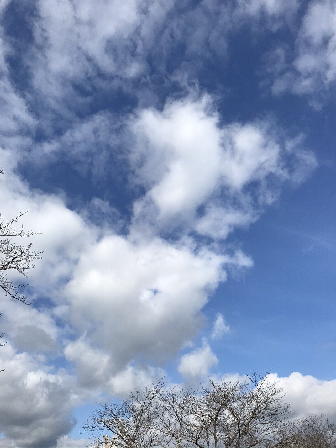 先日 米国映画 ゆりかごを揺らす手 を観た 90年代の映画で 二人目の子どもを生んだ妻が庭の園芸の作業等もしていたら 夫がひとりで全部抱え込まなくていい 子守はナニー 子守をしてくれる女性 を雇うよう提 みから 未絡 Micara Note