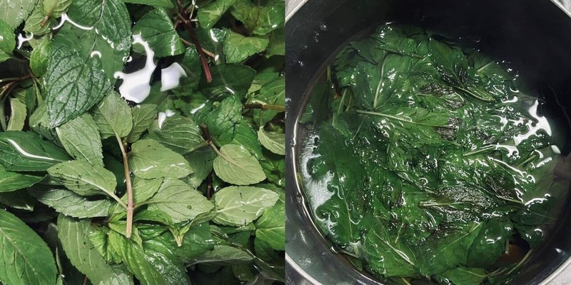 ミントはしっかり収穫 ミントを大量消費する方法 飲み物 食べ物編 ころの庭自然菜園ーハーブやアロマもー Note ミントはしっかり収穫 ミントを大量消費する方法 飲み物 食べ物編 ころの庭自然菜園ーハーブやアロマもー Note