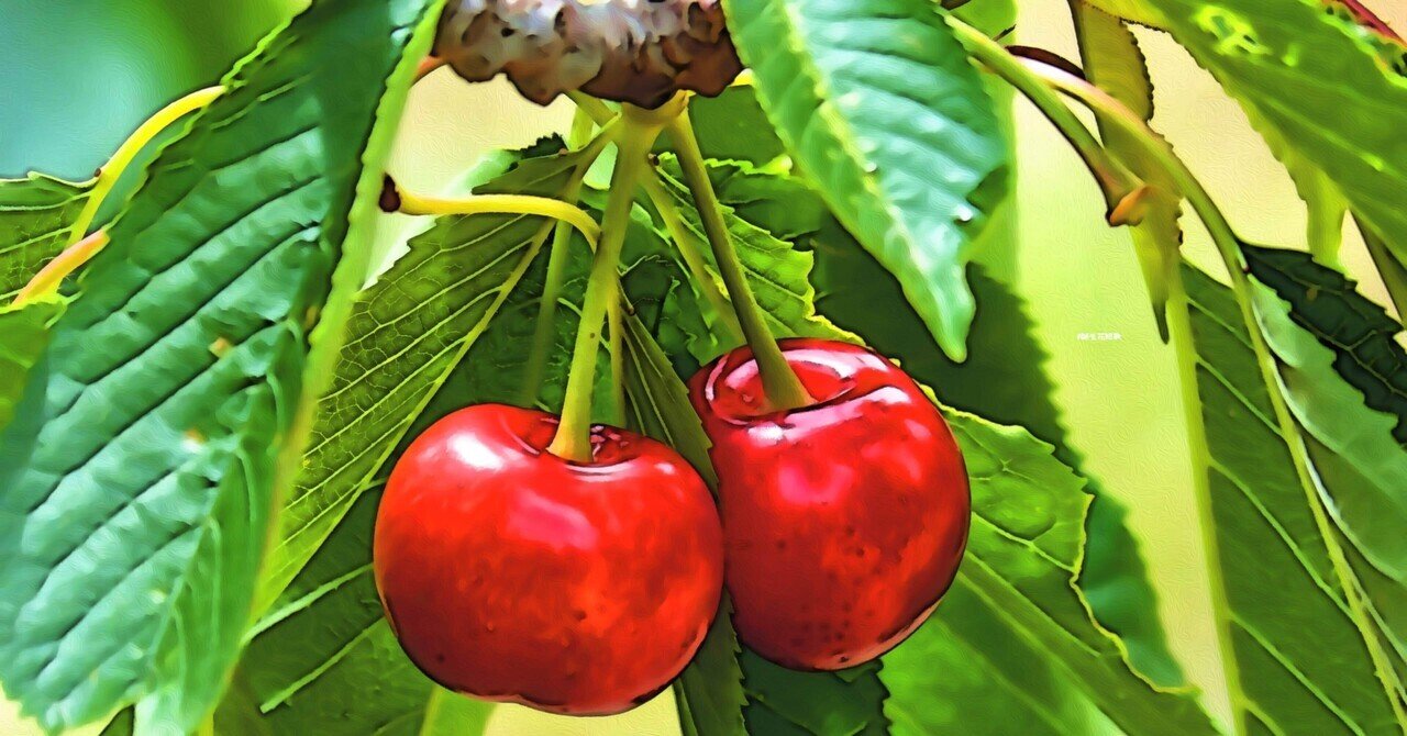 6月18日 誕生花は桜桃 誕生花短歌 御子柴 流歌 Note 6月18日 誕生花は桜桃 誕生花短歌 御子柴 流歌 Note