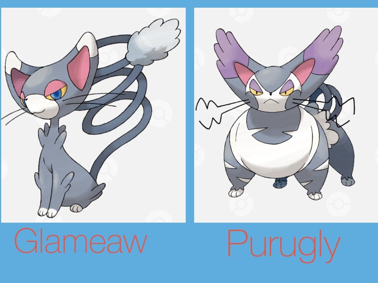 ポケモンの英語名全部覚える日記 第4世代前編 リユルン Note