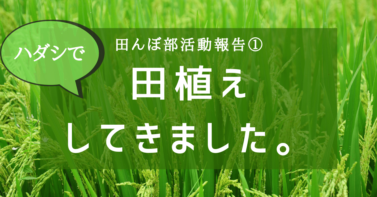 裸足で田植えしてきました 田んぼ部活動報告 Npo法人つむぐ 食 スポーツ ひと 日本地域の支援団体 Note 裸足で田植えしてきました 田んぼ部活動報告 Npo法人つむぐ 食 スポーツ ひと 日本地域の支援団体 Note