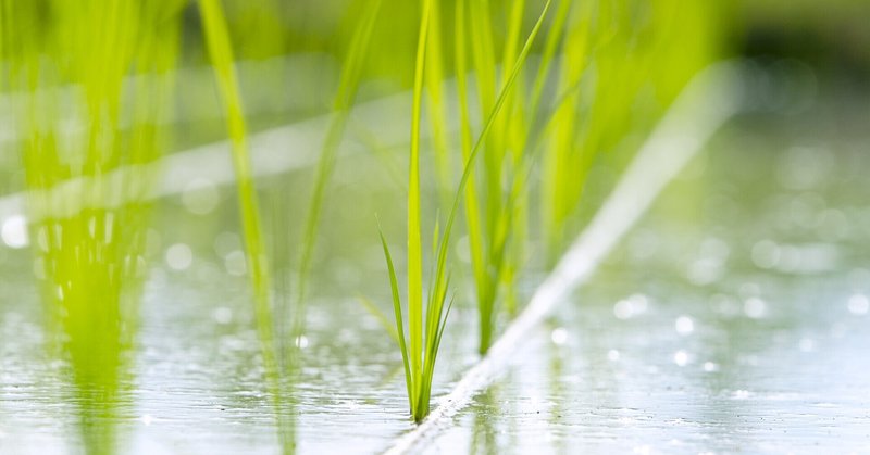 泥というものは、泥魂(ぬるみたま)で、五魂の精魂(くわしみたま)である