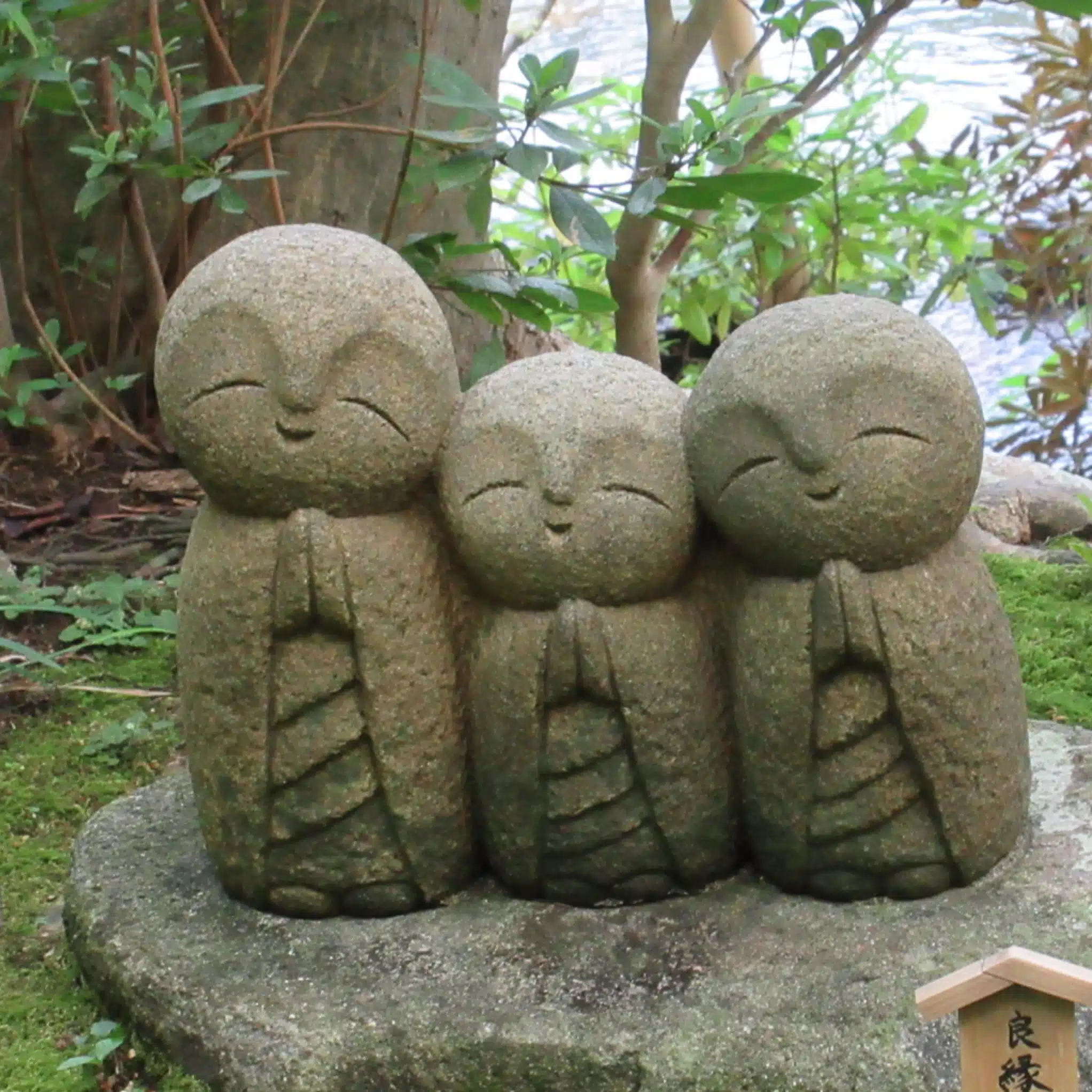 のはる