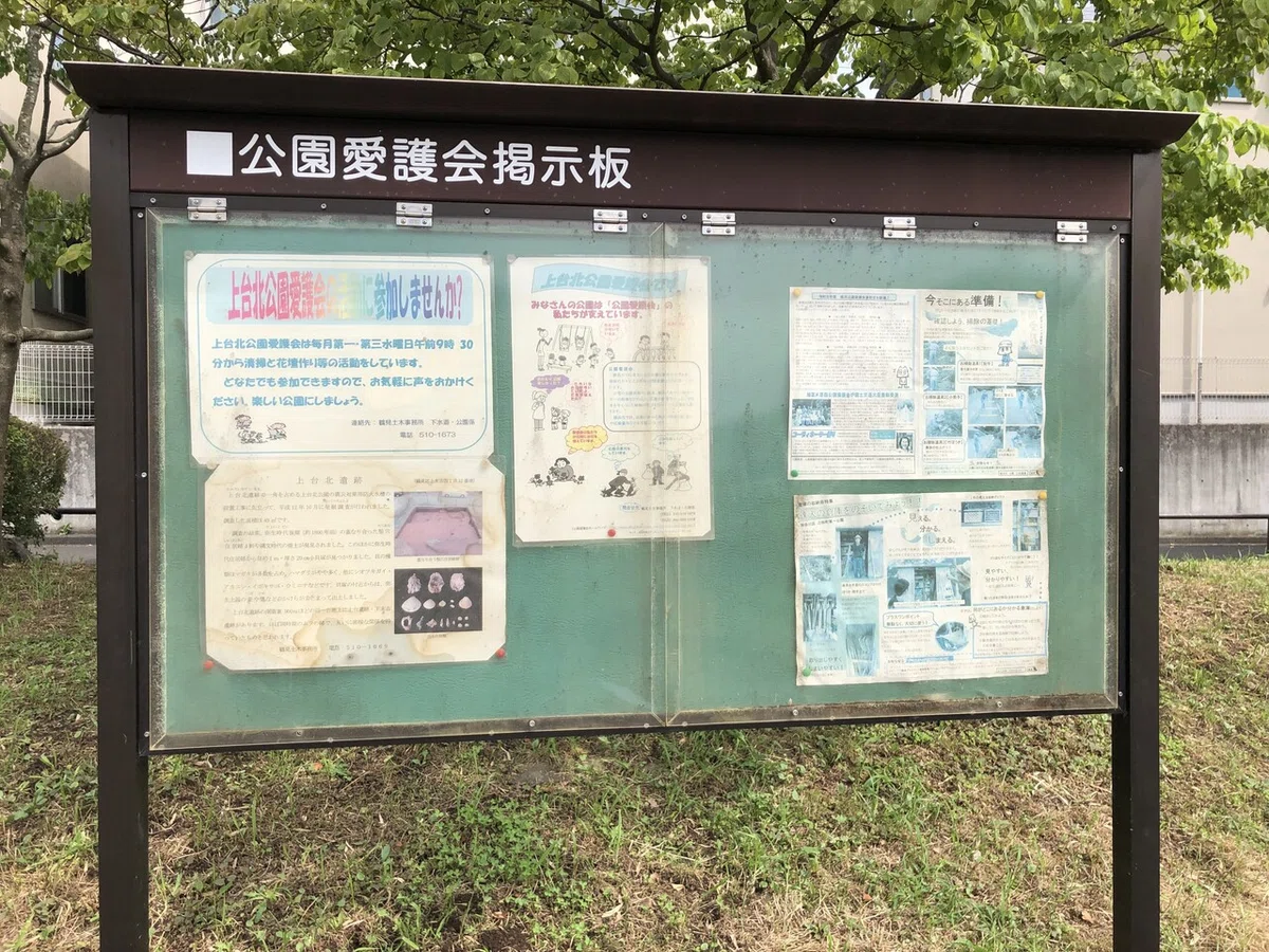 画像14