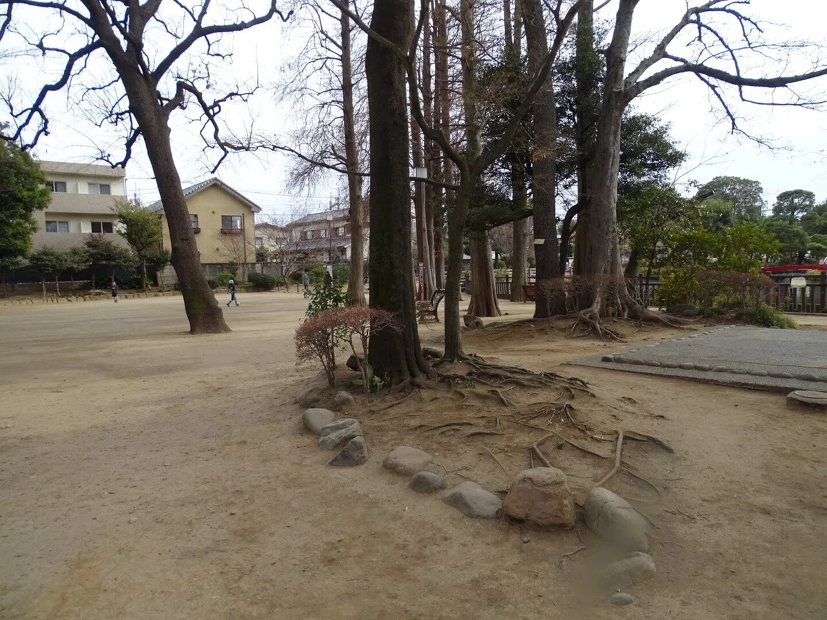 画像3