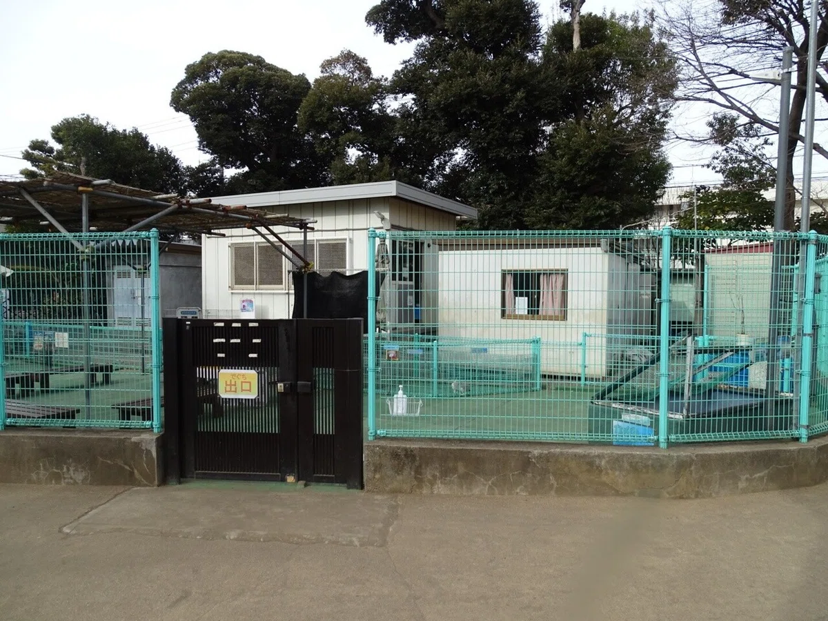 画像9