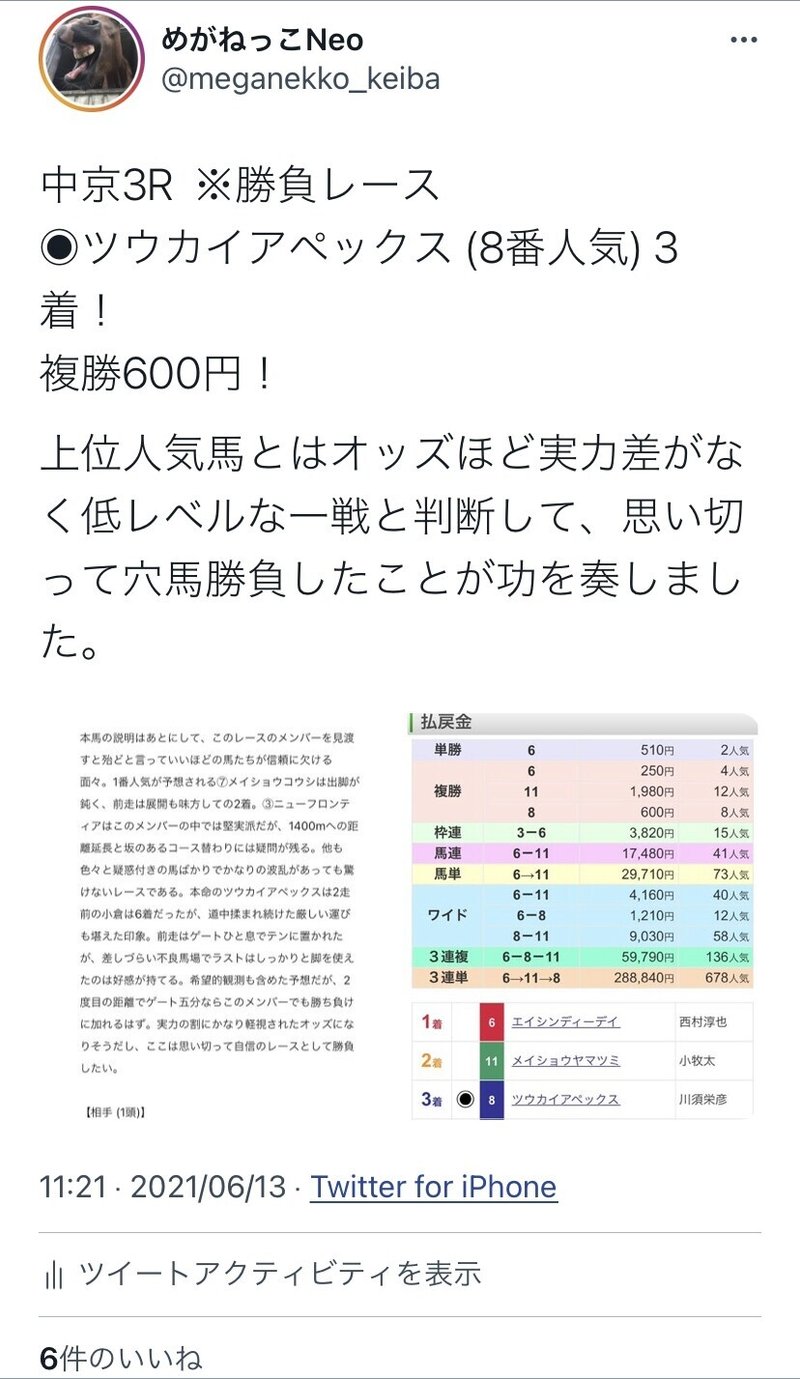 6月19日 土 中央競馬推奨馬リスト めがねっこ Note