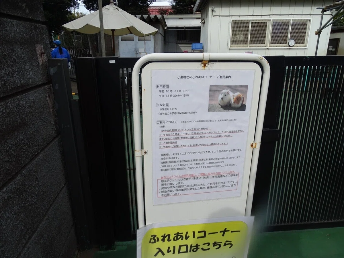画像17