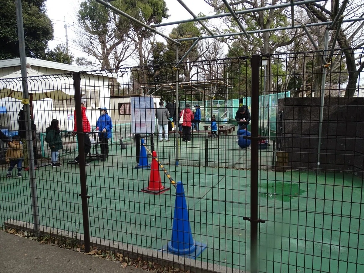 画像15