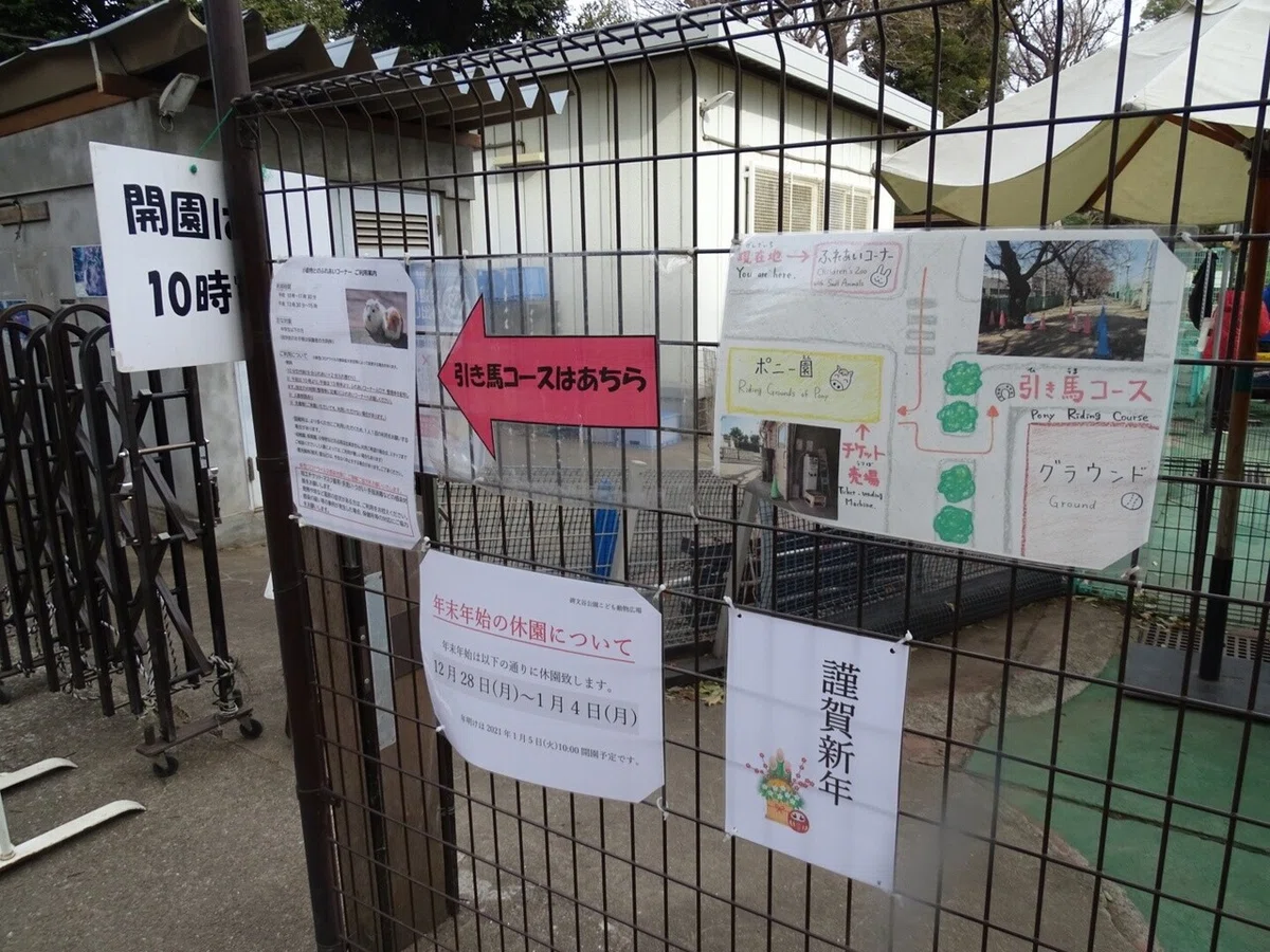 画像27
