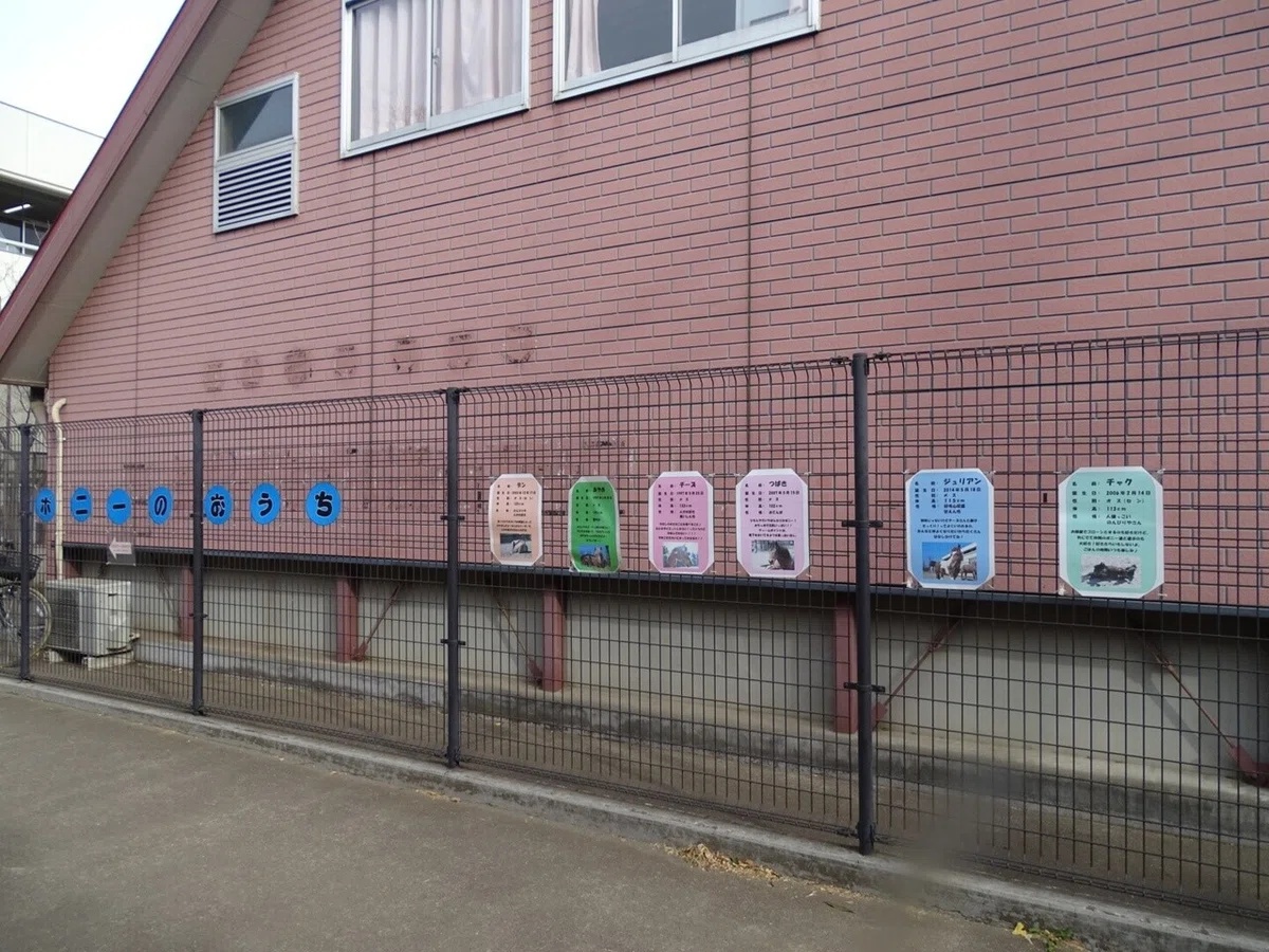 画像26