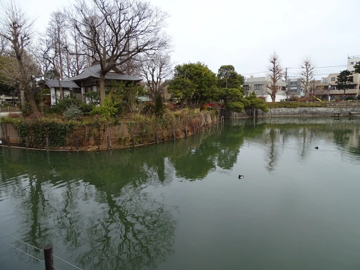 画像28