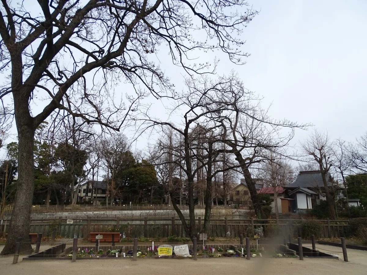 画像32