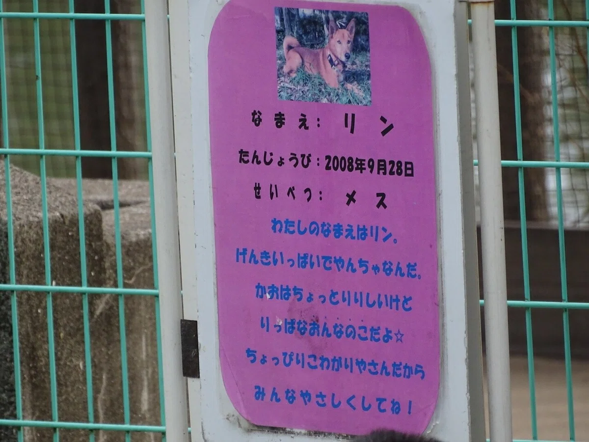 画像31