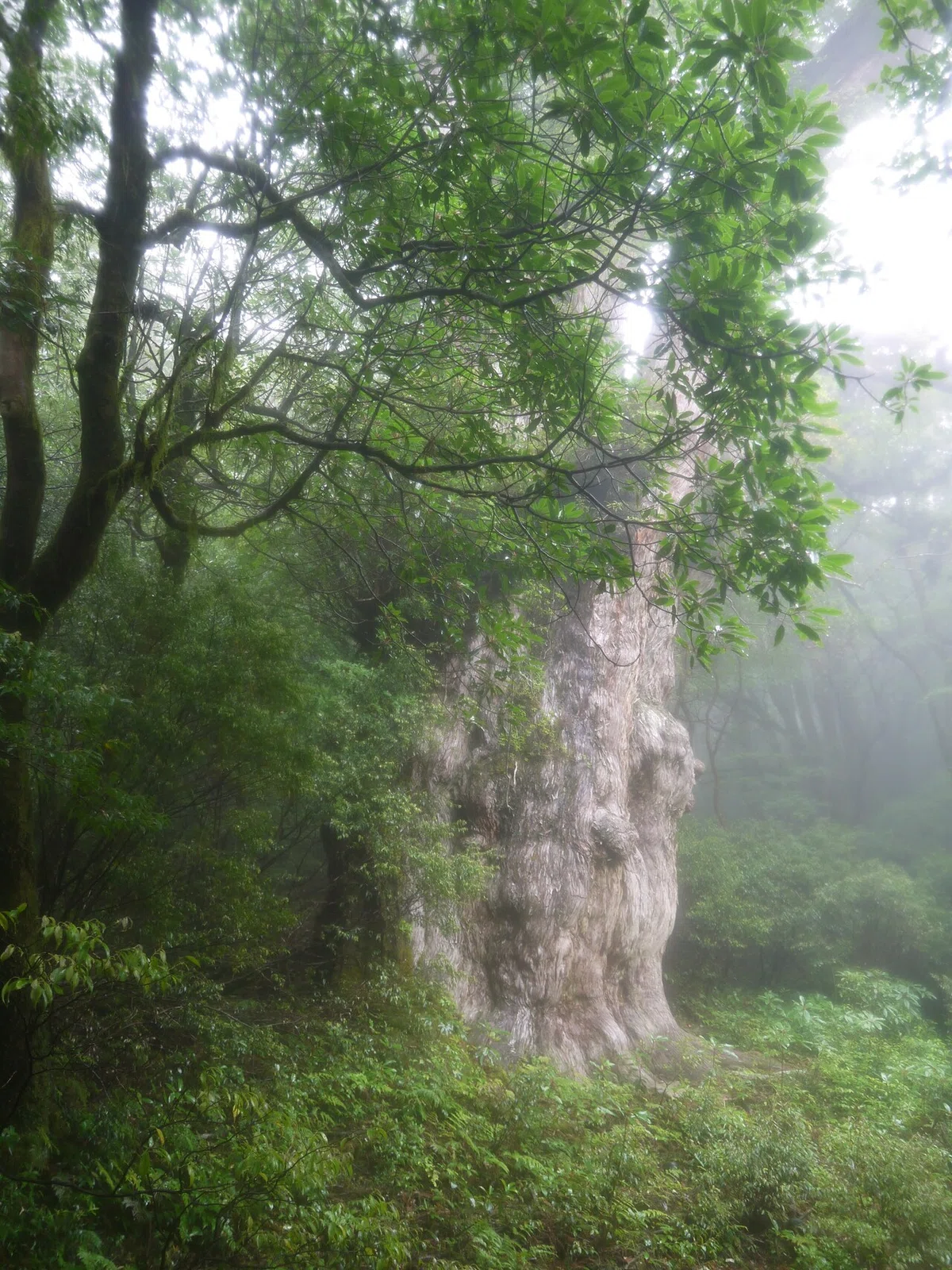 画像10