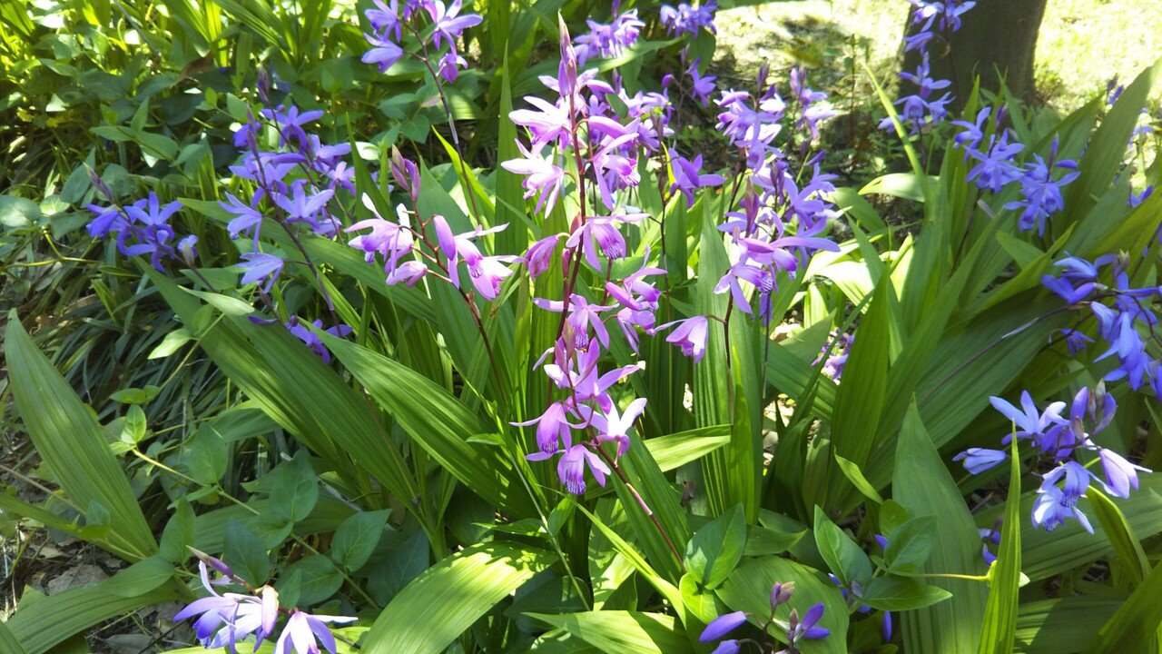 おはようございます6月1９日 土曜日 ですね いつもありがとうございます 幾分かは涼しくなりそうですね 少し雨も気になりますけど またよろしくお願いします 今日も良い日をお過ごしください あさだよしき こちら 情報局 笑顔 とアイデア好きです