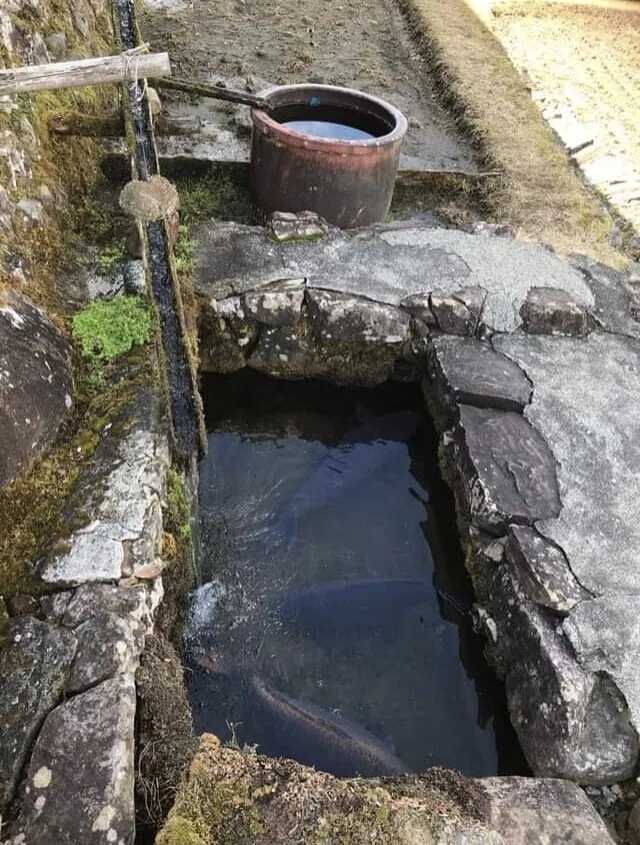 画像7