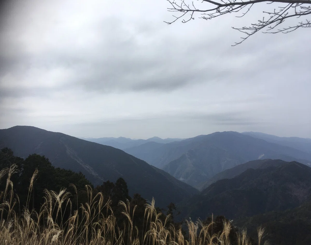 画像8