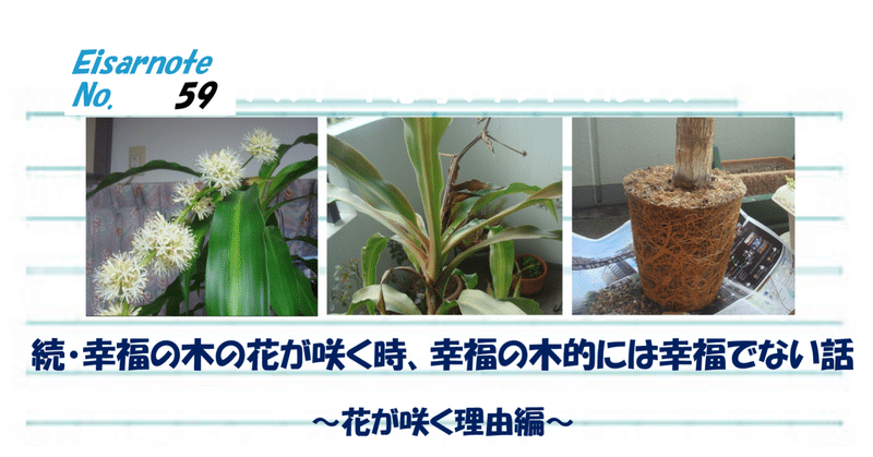 幸福の木 の新着タグ記事一覧 Note つくる つながる とどける