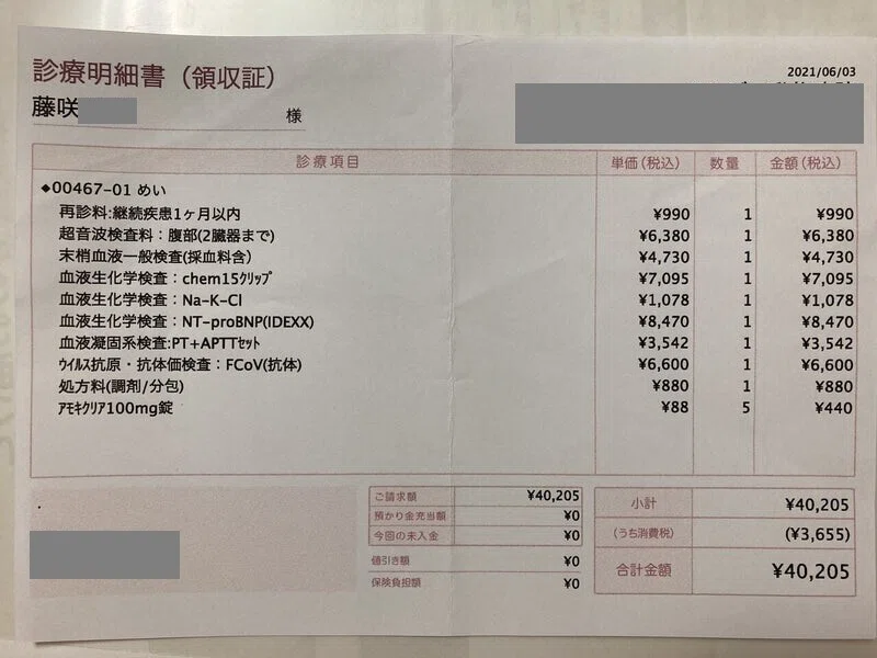 致死率ほぼ100%と言われているFIPを発症したメイを助けてください 