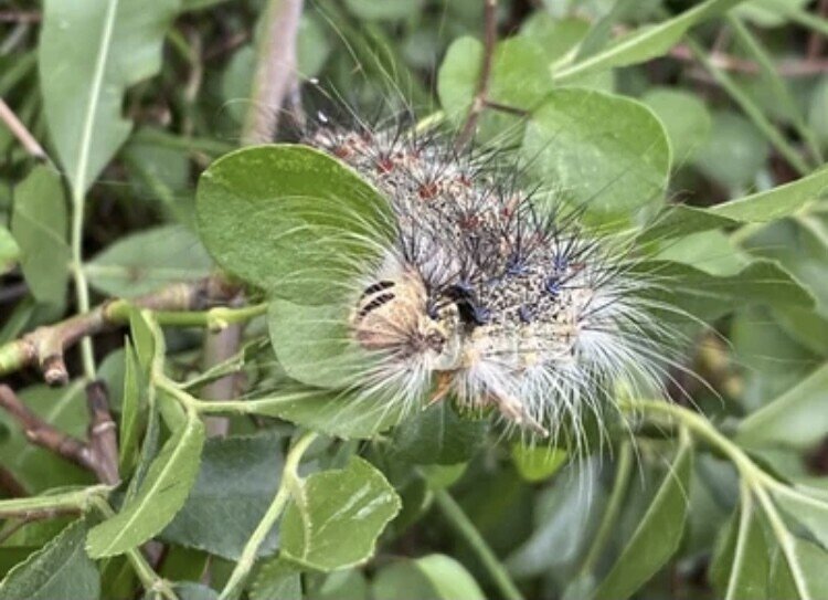 ６月の地獄を語る 呑みながら書きました 読む猫 Note