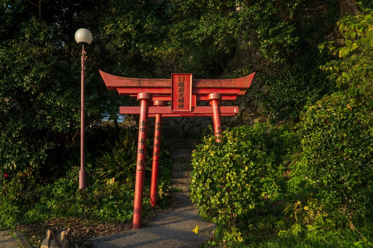画像44