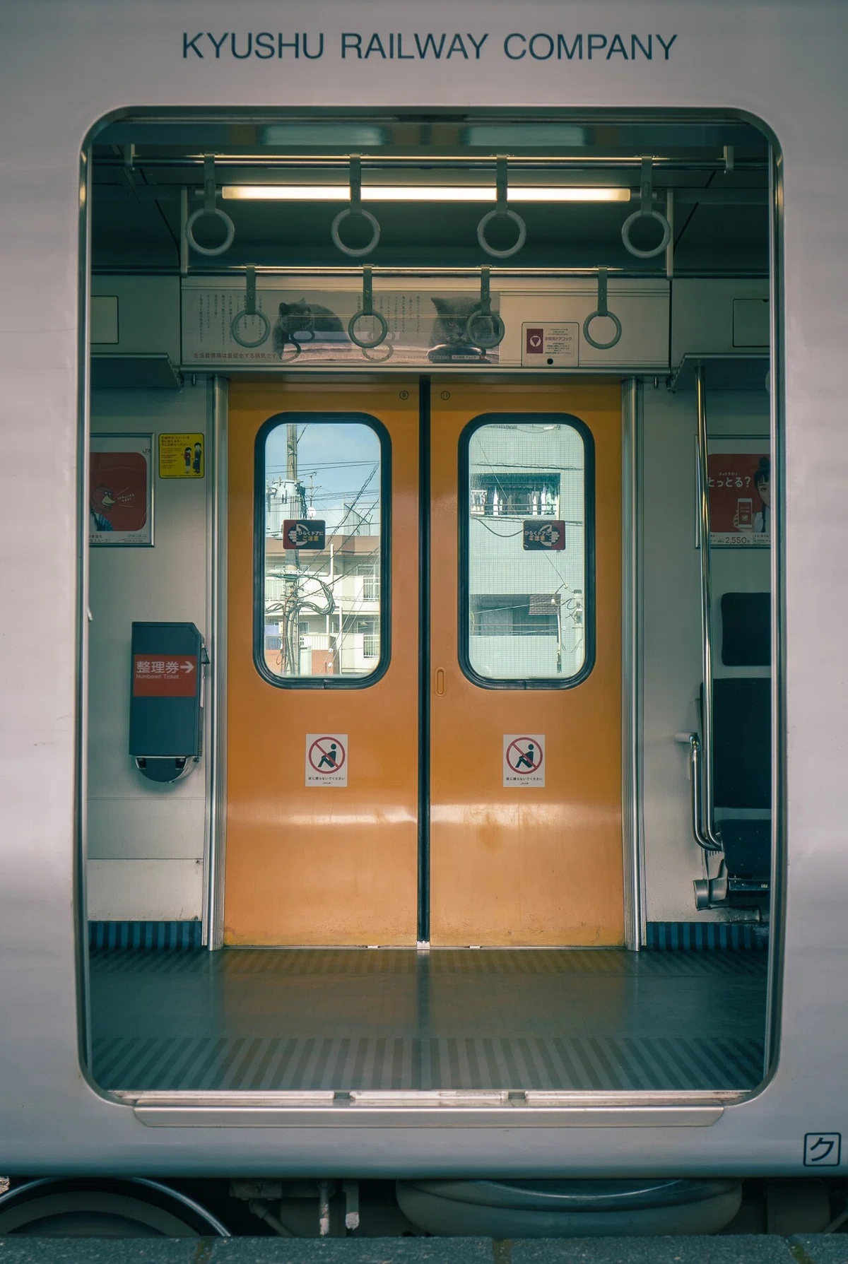 画像50