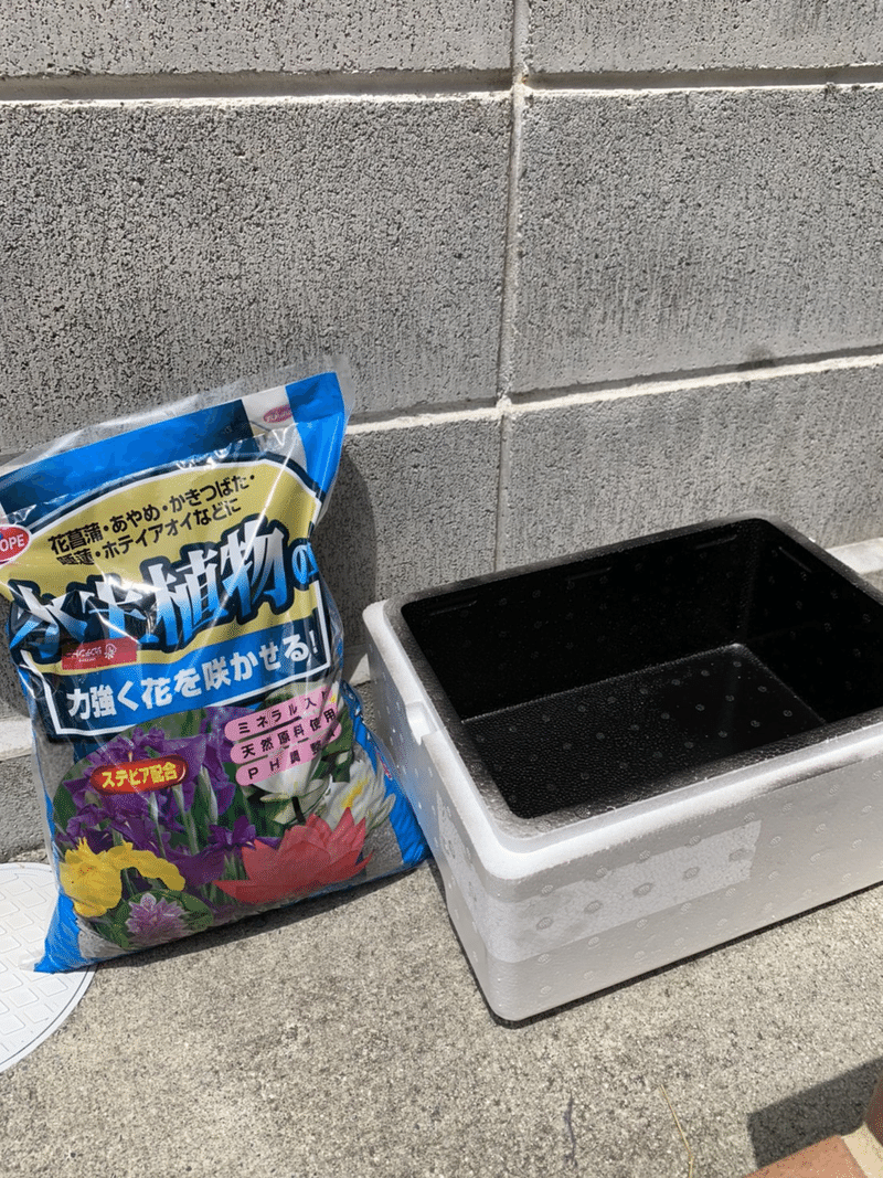 メダカの水槽 Rh Statt F Note