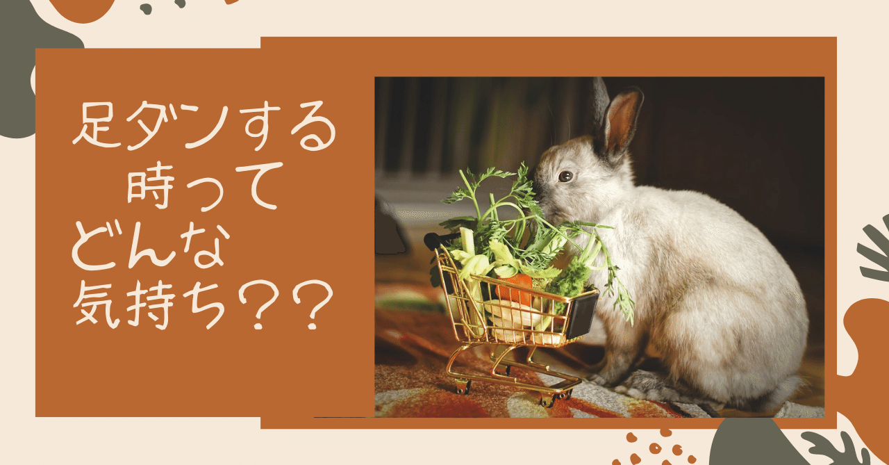 うさぎが足ダンする時はどんな気持ち 感情表現から読み取れること うさぎの杜の学校 仮校舎 Note うさぎが足ダンする時はどんな気持ち 感情表現から読み取れること うさぎの杜の学校 仮校舎 Note