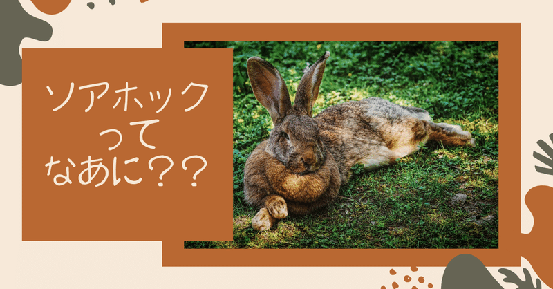 うさぎにかかりやすい ソアホック はどんな病気 治療と対策法は うさぎの杜の学校 仮校舎 Note うさぎにかかりやすい ソアホック はどんな病気 治療と対策法は うさぎの杜の学校 仮校舎 Note
