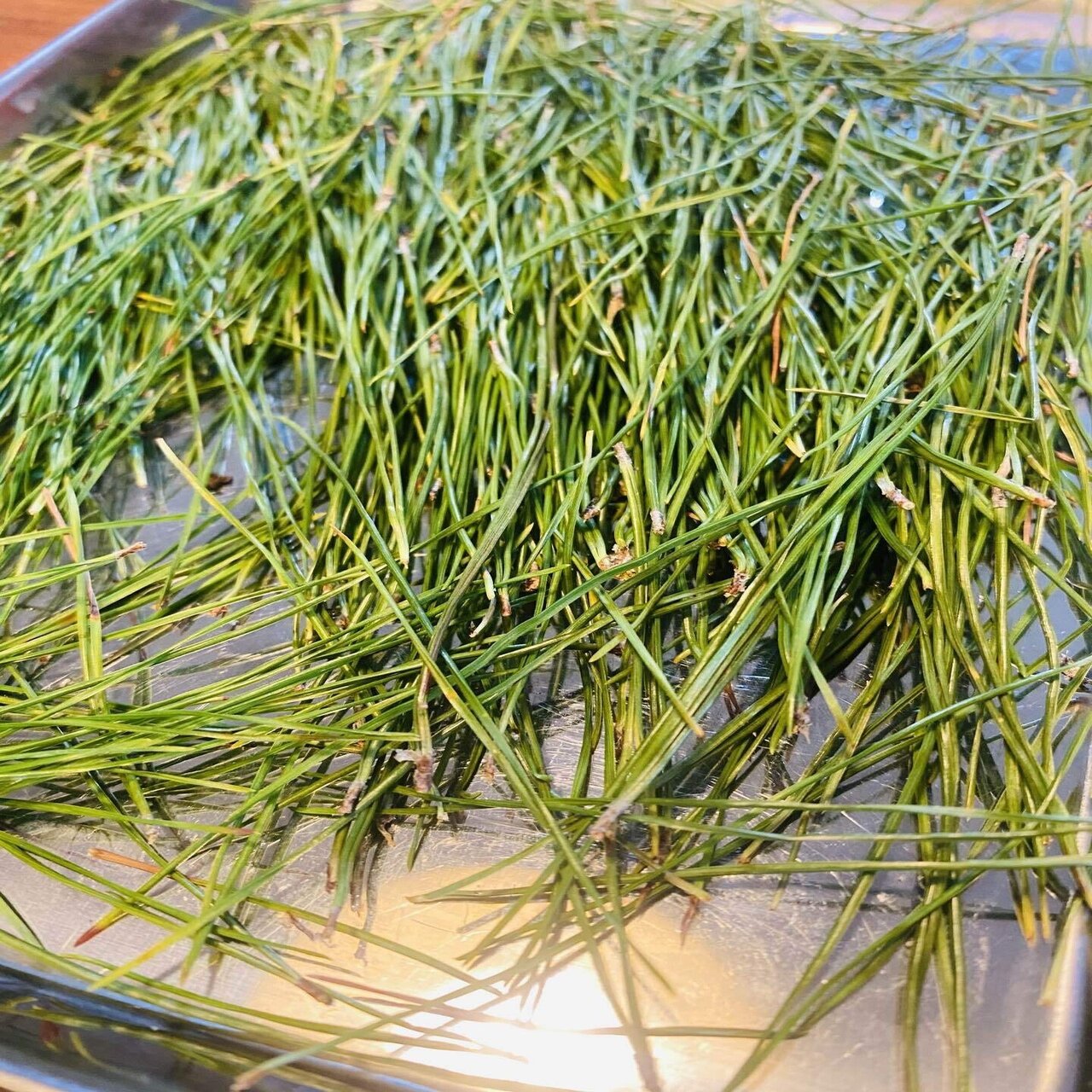 松葉茶の作り方は？