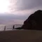 変な自由人