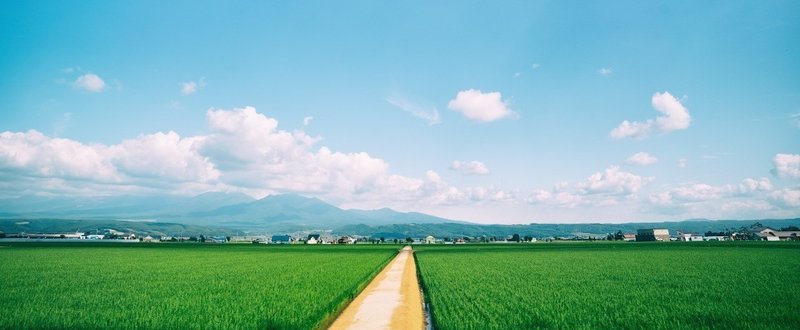 習慣は味方、思いこみは敵