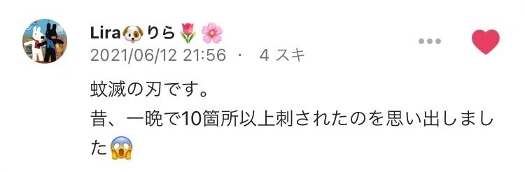 画像25