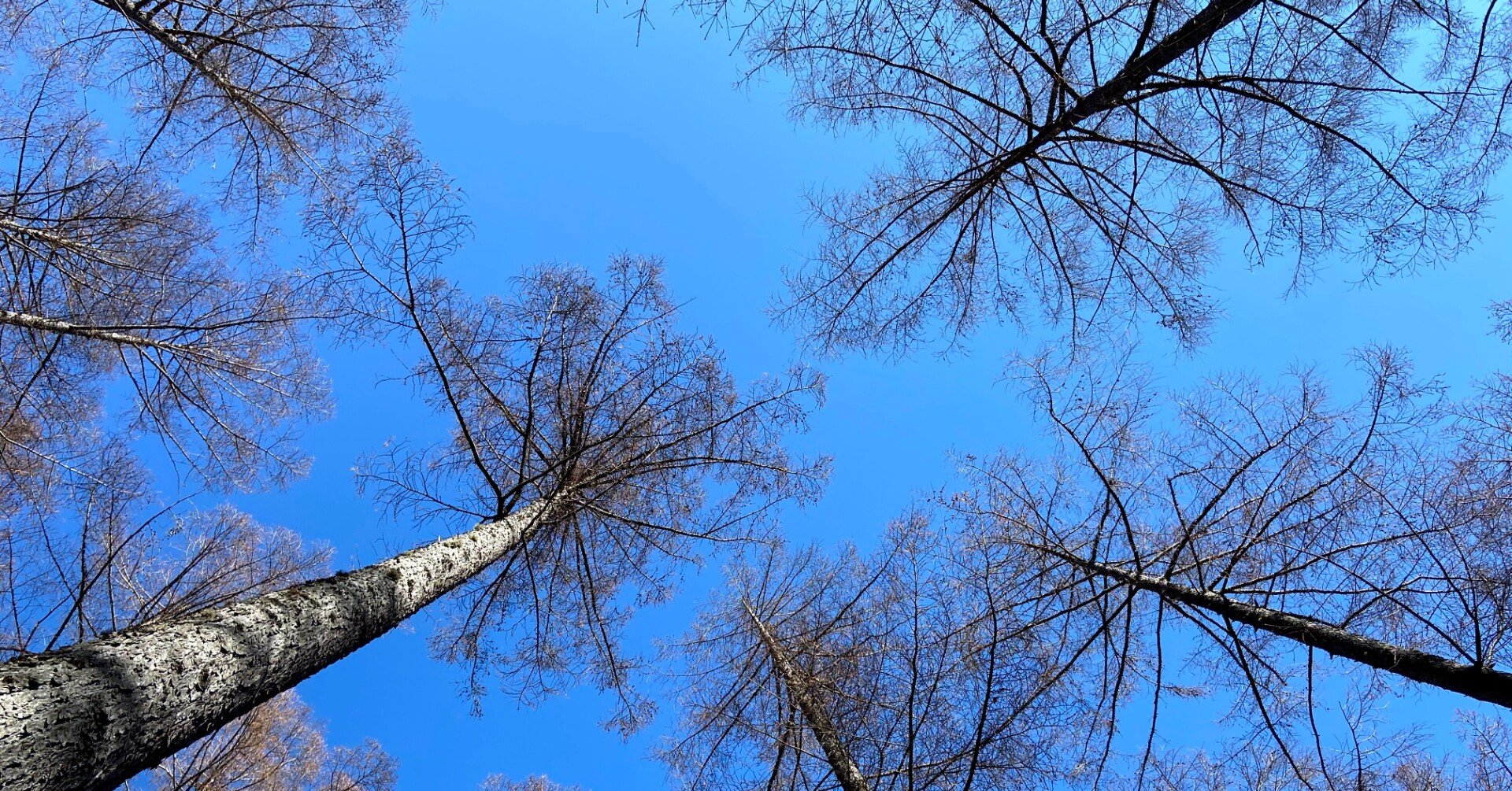 つわりとは食事だけに関係しないと知った 妊娠3ヶ月 とある妊婦 Note