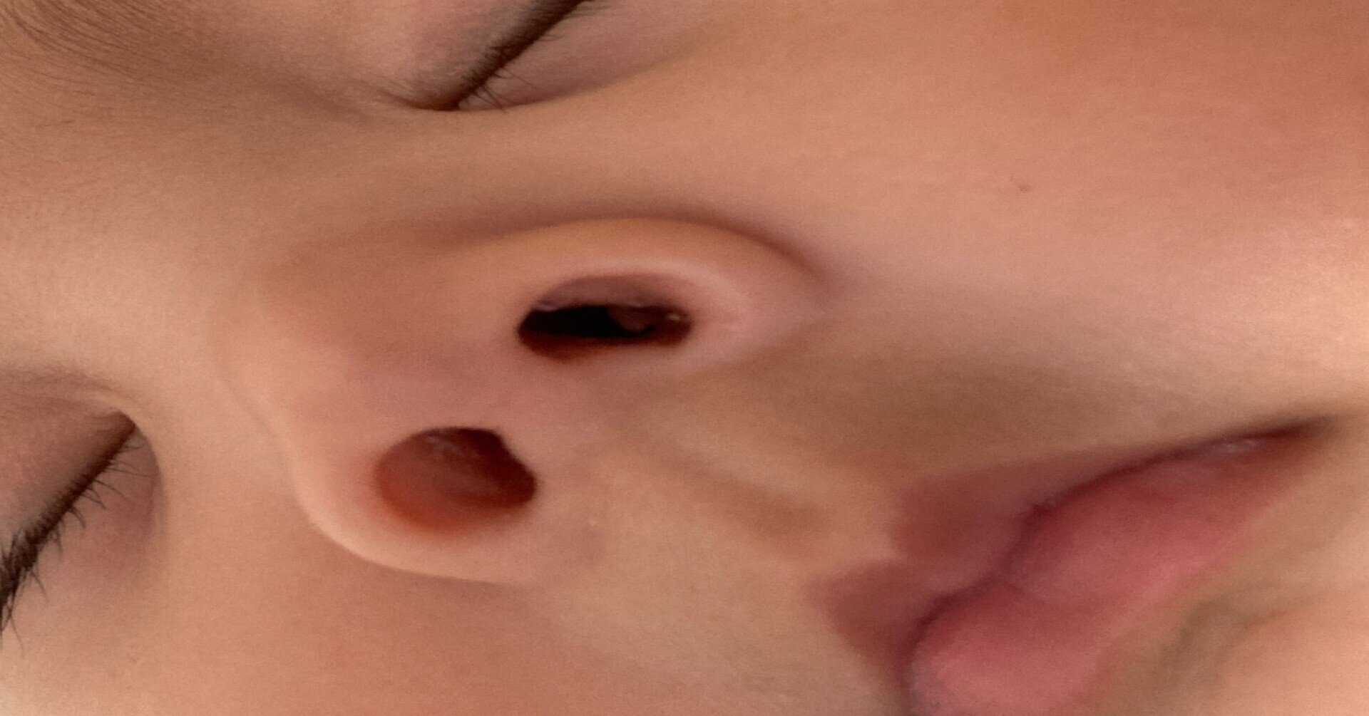 赤ちゃんの鼻毛はいつはえる ぼたん さんぽ ちゃん ねる 作家きゃらを 墨字書家 五輪 言葉の真剣な遊びびと Note 赤ちゃんの鼻毛はいつはえる ぼたん さんぽ ちゃん ねる 作家きゃらを 墨字書家 五輪 言葉の真剣な遊びびと Note