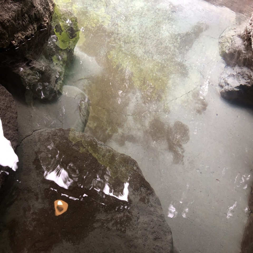 岐阜県 奥飛騨温泉郷 家族旅行 21 06 06 Anna Note