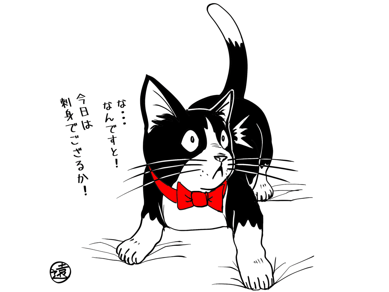 今日のにゃんこ はっ 遠野雄一郎 Note
