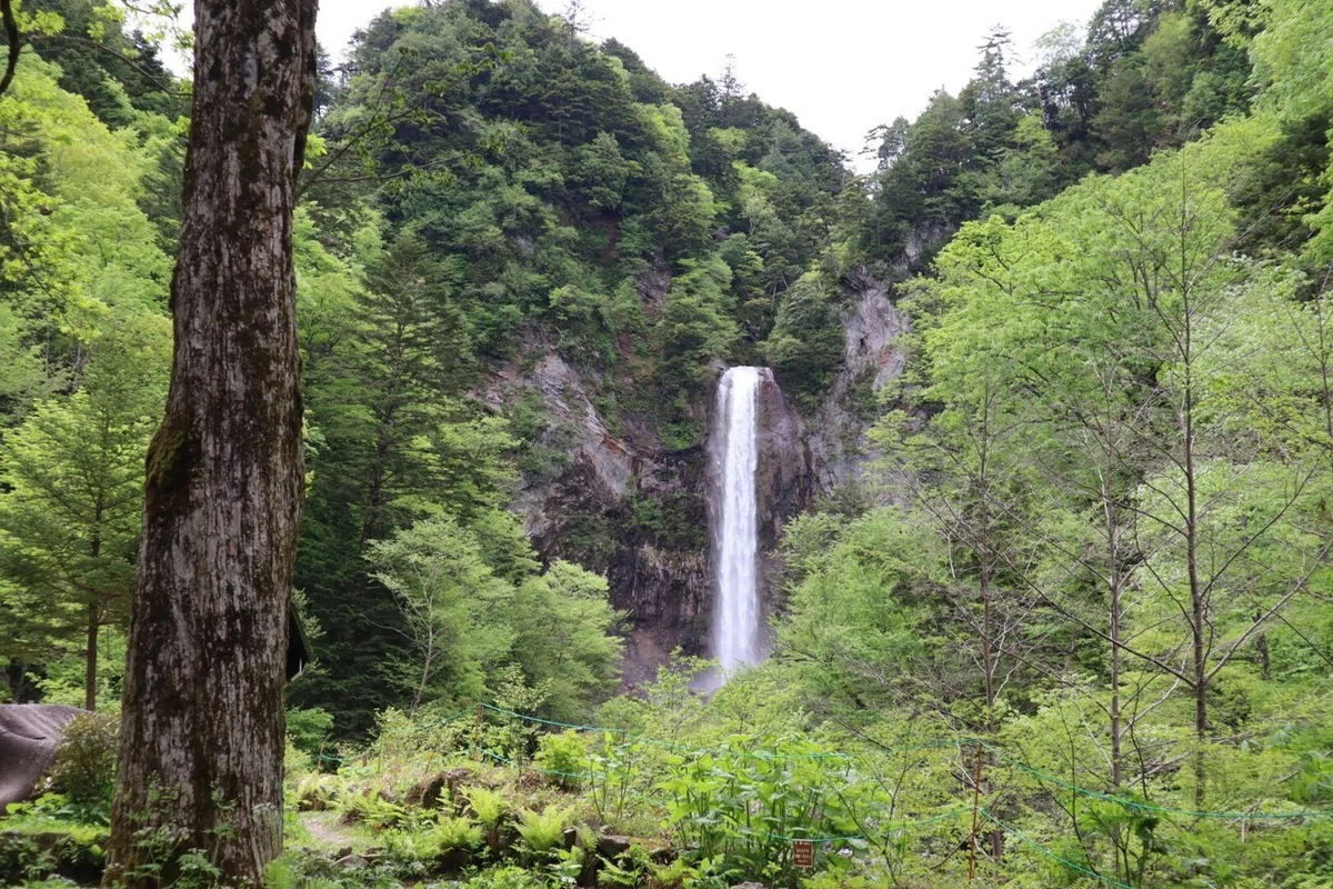 画像15