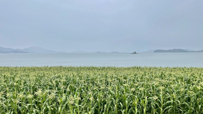 画像14