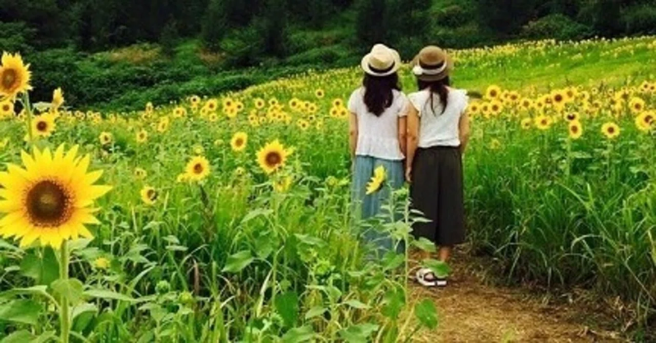 偶然のようで必然的な友との出会いと別れ Neige ネージュ 猪俣友紀 Note