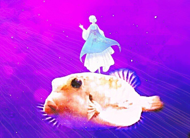 作品no 1 ハコフグに乗って海神を救いに行く星の汀ちゃん この加工を やりたくてしゃーなかった 詳しくは またご説明します よるつきちゃんにイラストお借りしてま 麻衣です Note 作品no 1 ハコフグに乗って海神を救いに行く星の汀ちゃん この加工を やりたくてしゃーなかった 詳しくは またご説明します よるつきちゃんにイラストお借りしてま 麻衣です Note