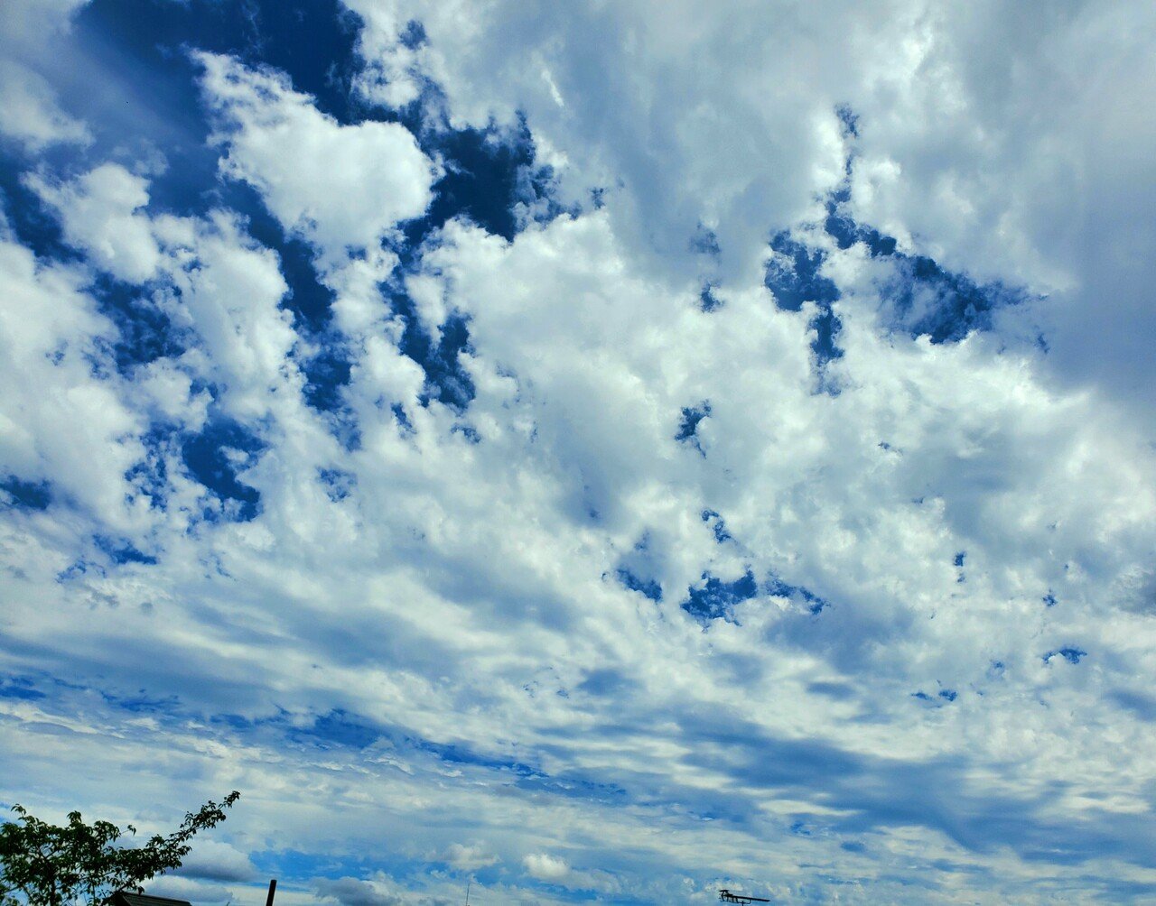 きっといい天気 自己紹介を放り投げた後 洗濯物を干すためにベランダに出た 見えた空は 驚くほど好きな彩りだった 青空も見えつつ様々な色と形の雲が広がる空で この写真じゃ伝えきれないグラ 泉谷和泉 Note