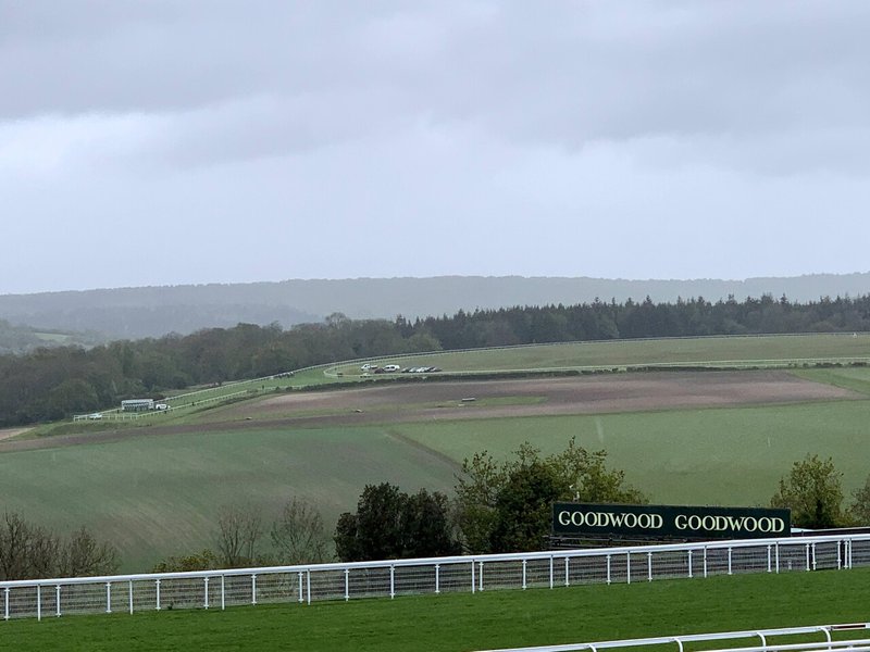 総合評価 競馬場探訪 英 グッドウッド競馬場 Goodwood Racecourse 小和田 逸平 Note