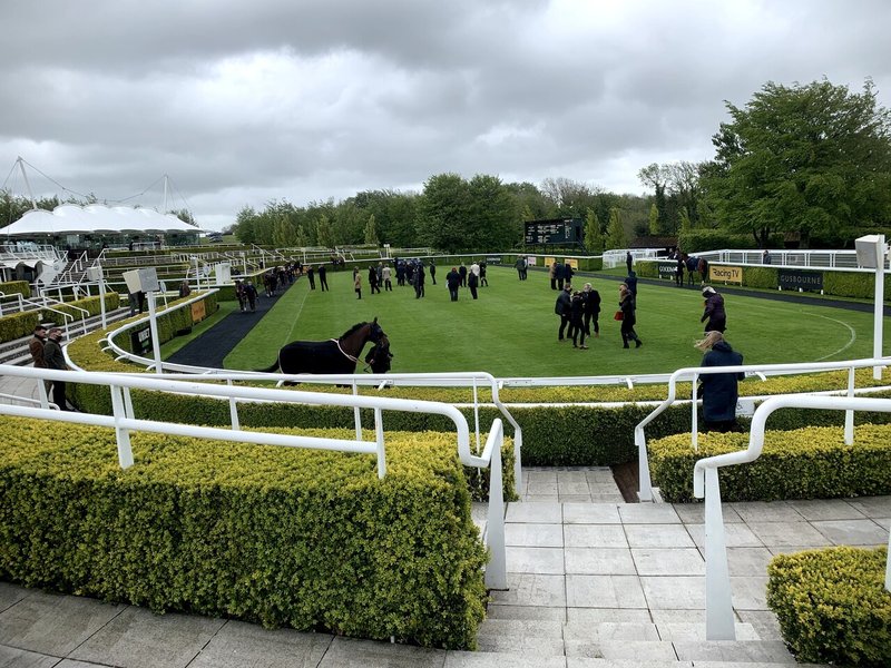 総合評価 競馬場探訪 英 グッドウッド競馬場 Goodwood Racecourse 小和田 逸平 Note