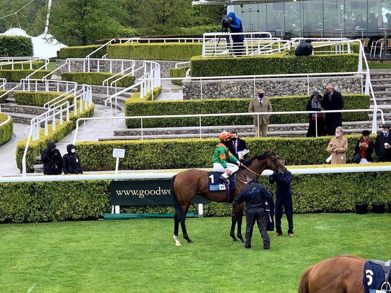 総合評価 競馬場探訪 英 グッドウッド競馬場 Goodwood Racecourse 小和田 逸平 Note