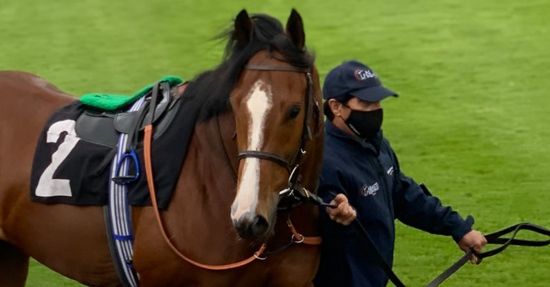 総合評価 競馬場探訪 英 グッドウッド競馬場 Goodwood Racecourse 小和田 逸平 Note